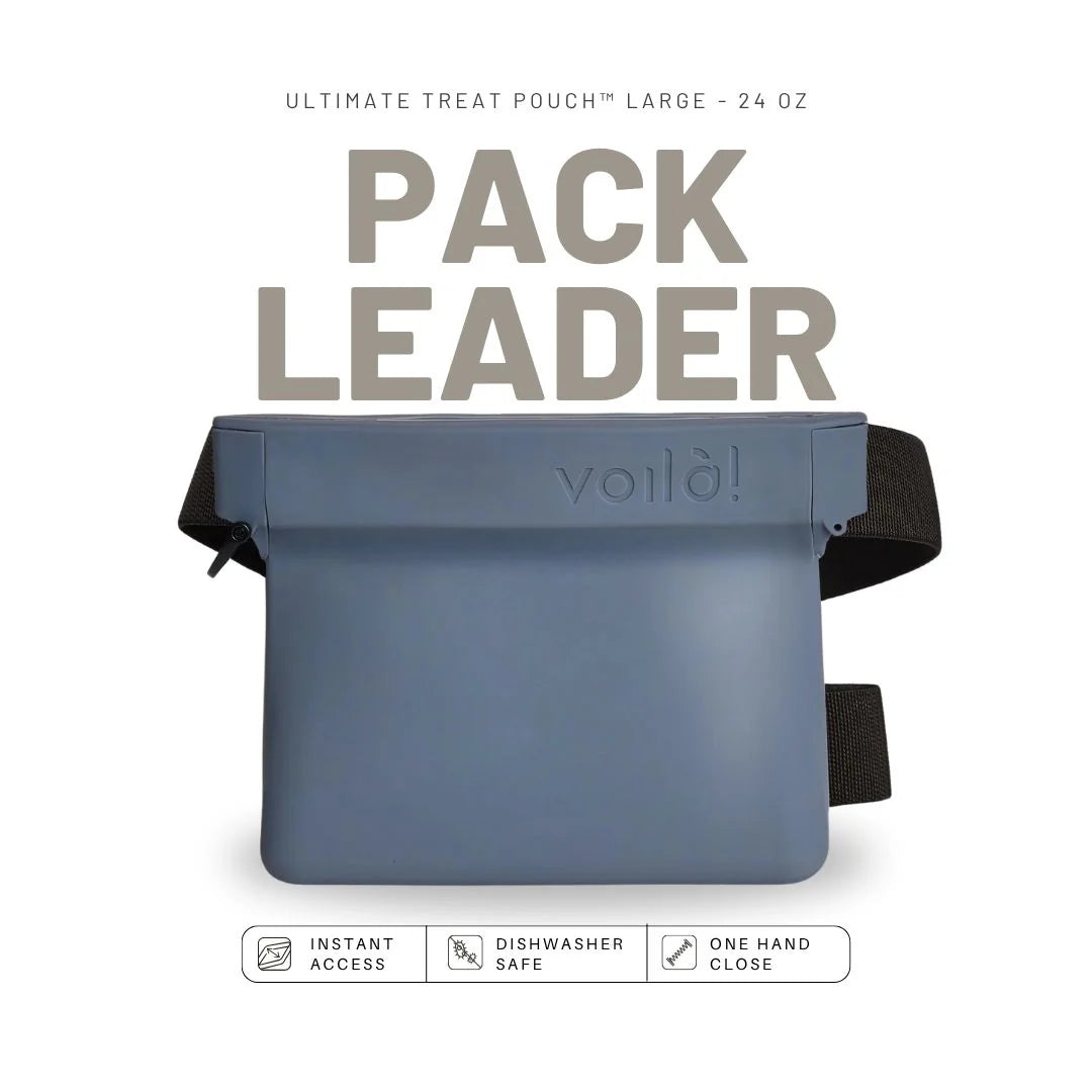 Large Ultimate Treat Pouch - 24 oz
