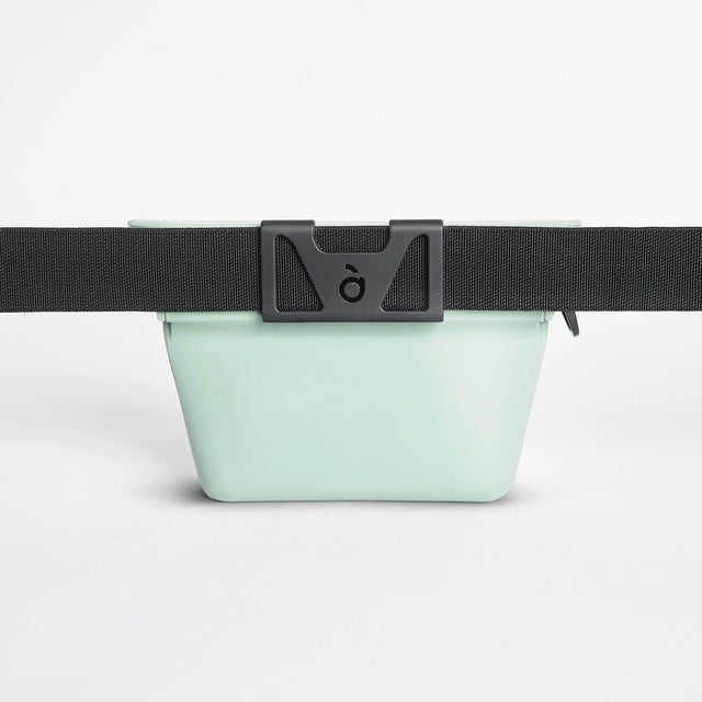 The Standard - Mint